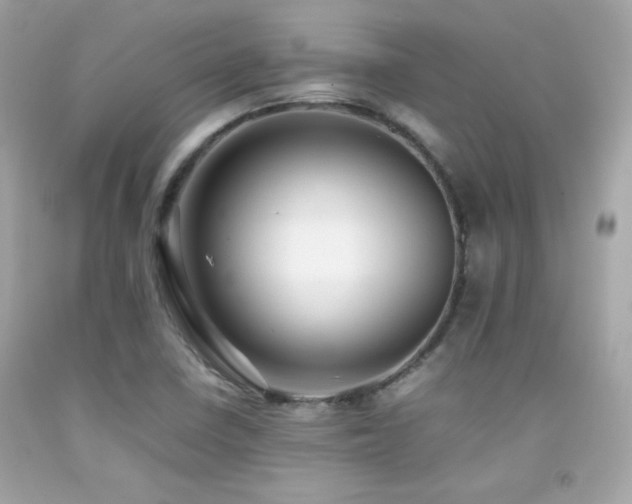 X0000092061410200709121345