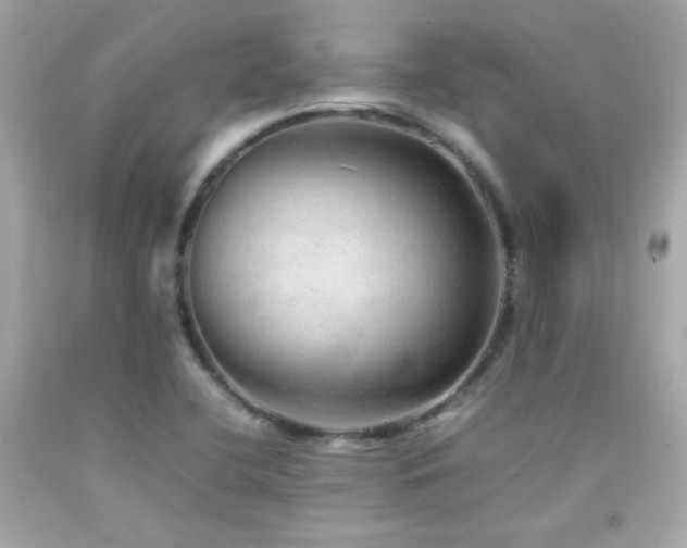 X0000092061412200709121345