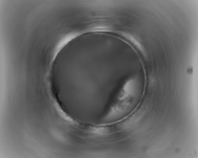 X0000092061413200709121345