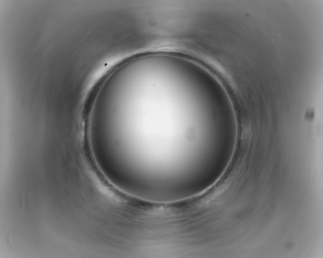 X0000092061414200709121345