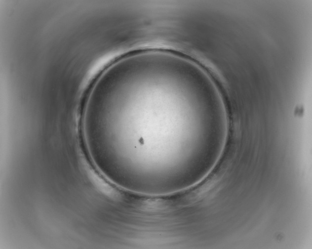 X0000092061416200709121345