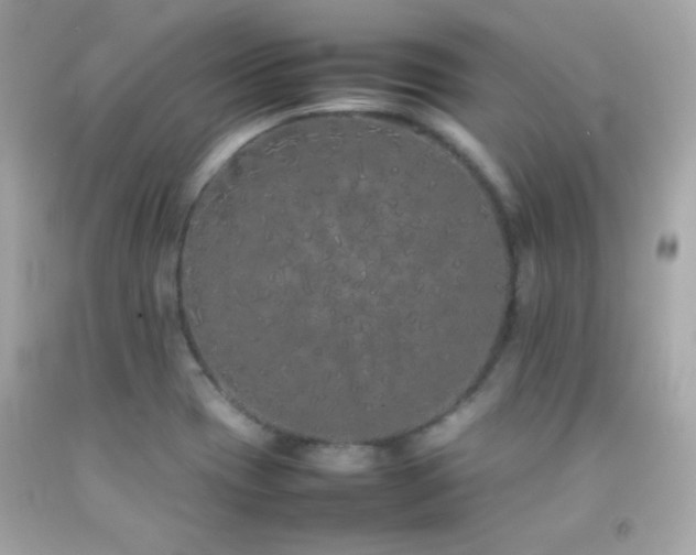 X0000092061417200709121345