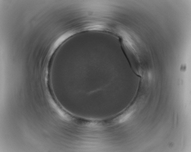 X0000092061418200709121345