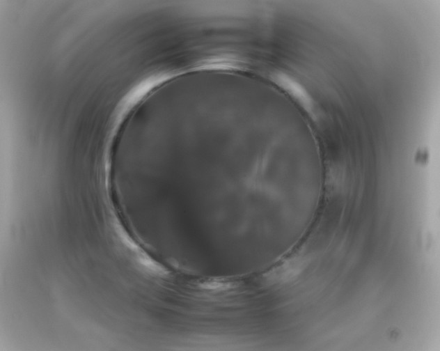 X0000092061419200709121345
