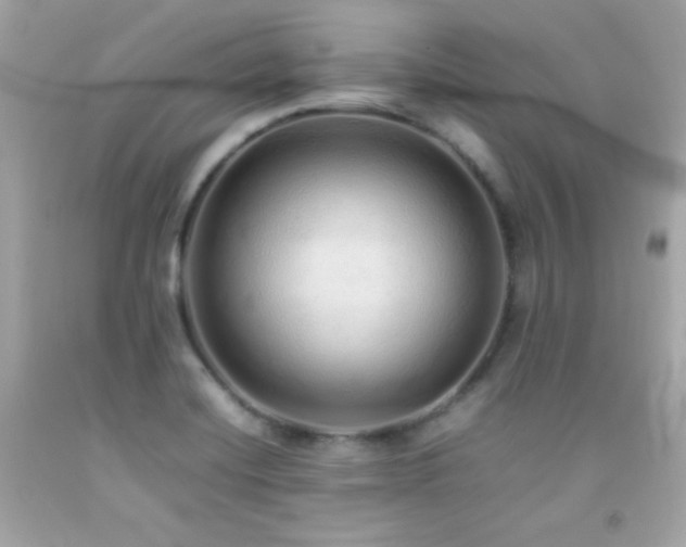X0000092061420200709121345