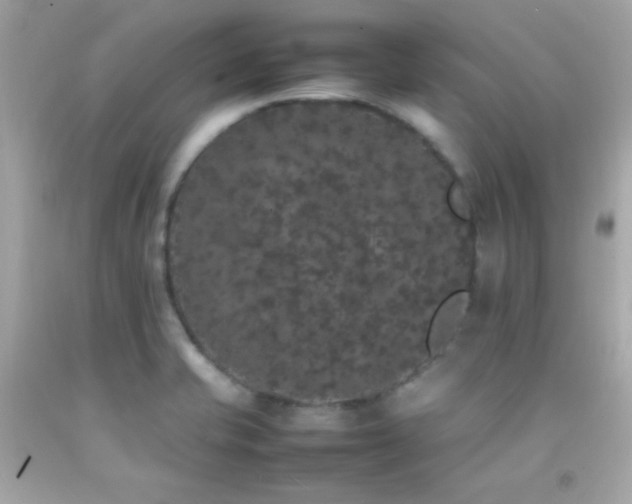X0000092061421200709121346