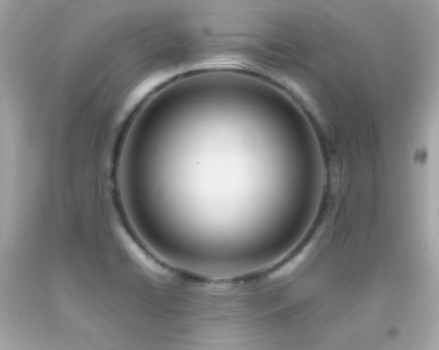X0000092061422200709121346
