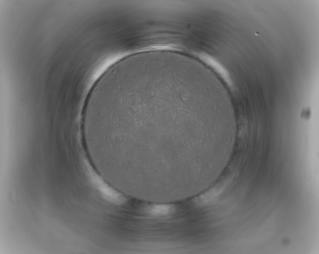 X0000092061423200709121346