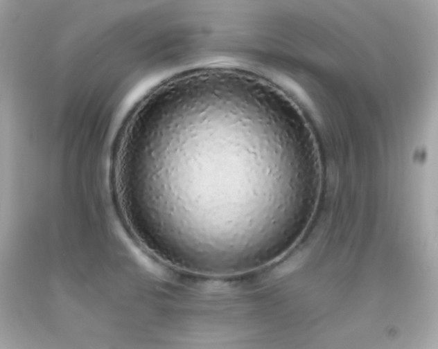 X0000092061424200709121346