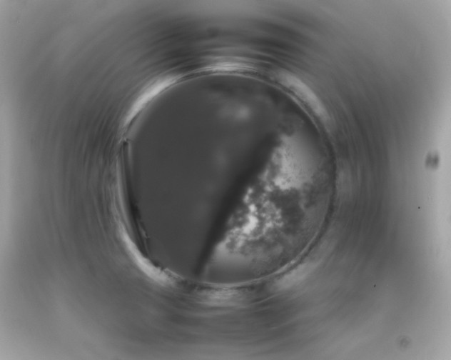 X0000092061425200709121346