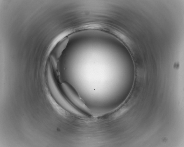 X0000092061426200709121346