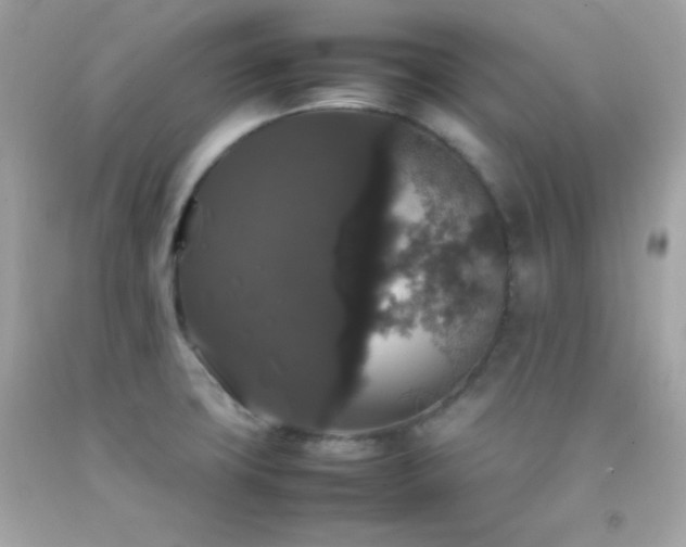 X0000092061427200709121346