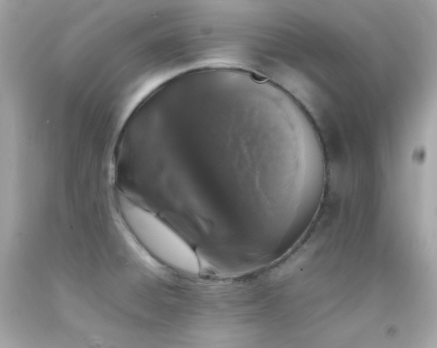 X0000092061428200709121346
