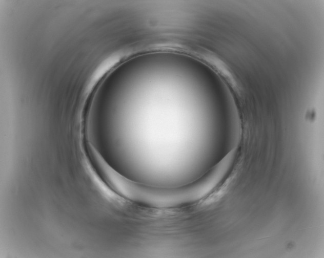 X0000092061430200709121346