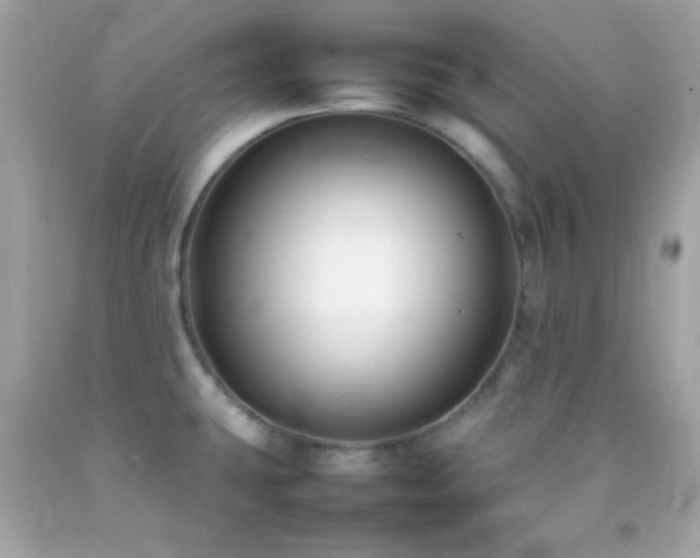 X0000092061431200709121346