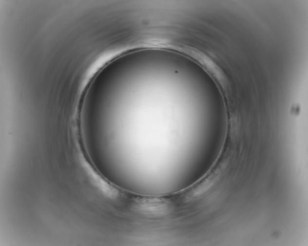 X0000092061432200709121346
