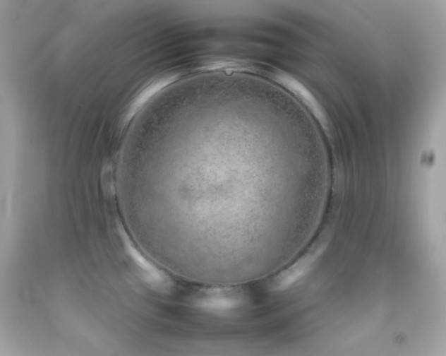 X0000092061433200709121346