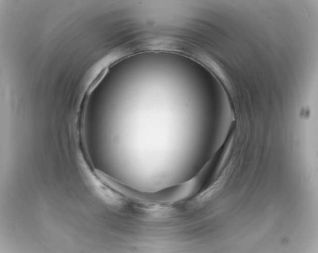 X0000092061434200709121346