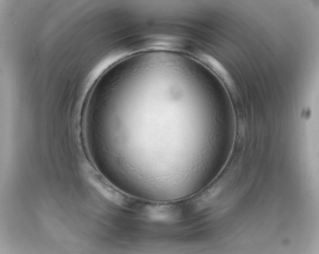 X0000092061435200709121346