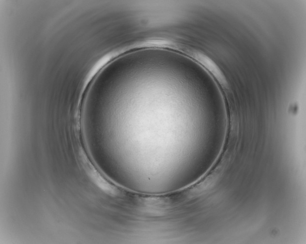 X0000092061436200709121346