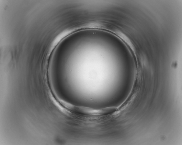 X0000092061437200709121346