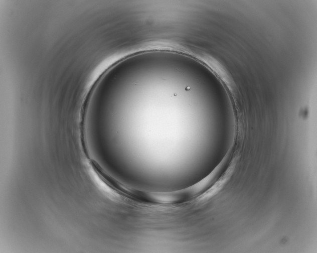 X0000092061438200709121346
