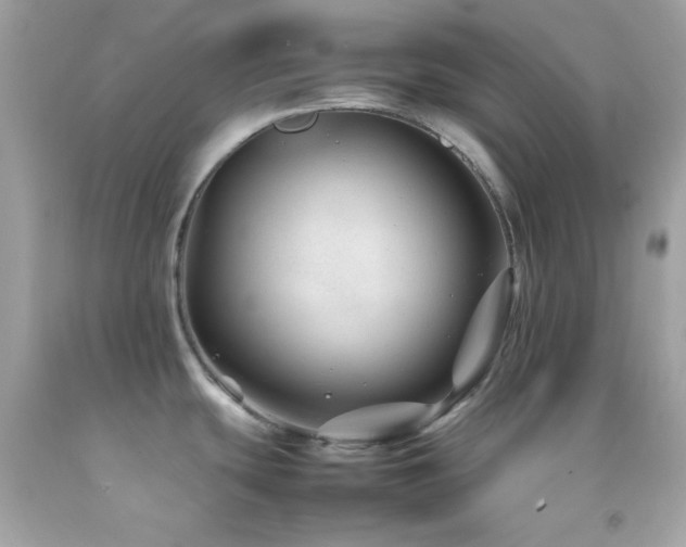 X0000092061439200709121346