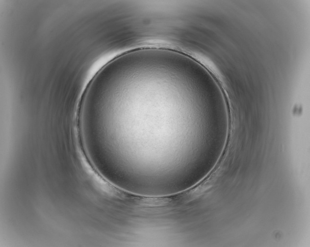X0000092061440200709121346
