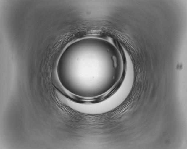 X0000092061441200709121345