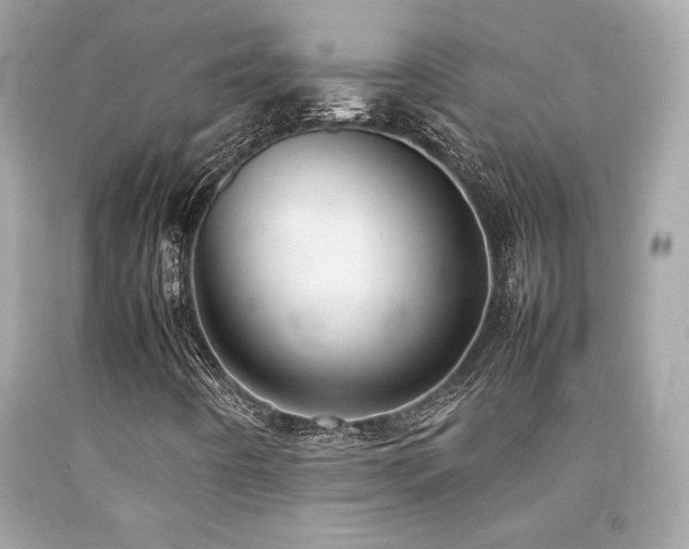 X0000092061442200709121345