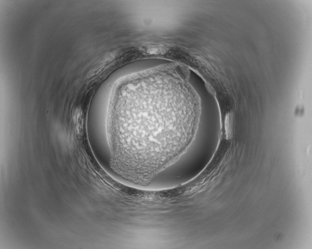 X0000092061443200709121345