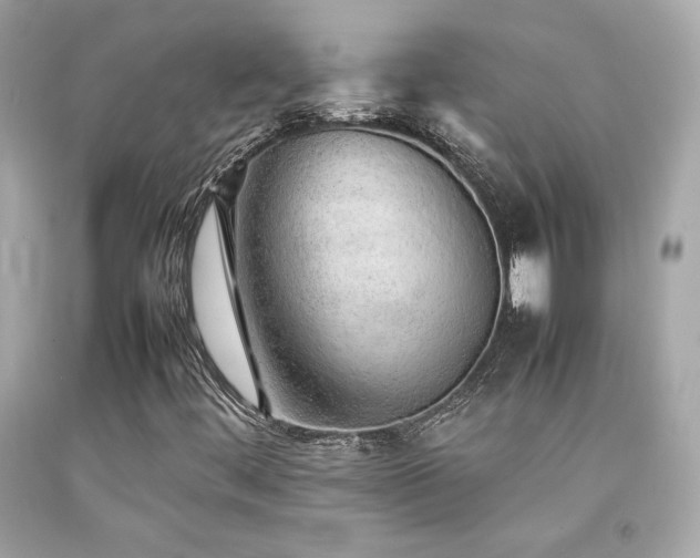 X0000092061444200709121345