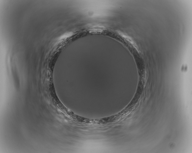 X0000092061445200709121345
