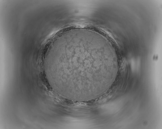 X0000092061446200709121345