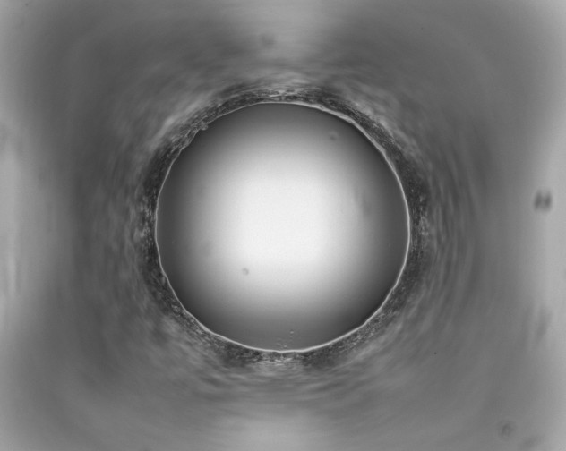X0000092061447200709121345