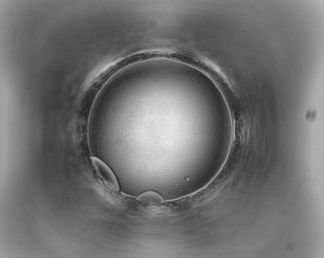 X0000092061448200709121345
