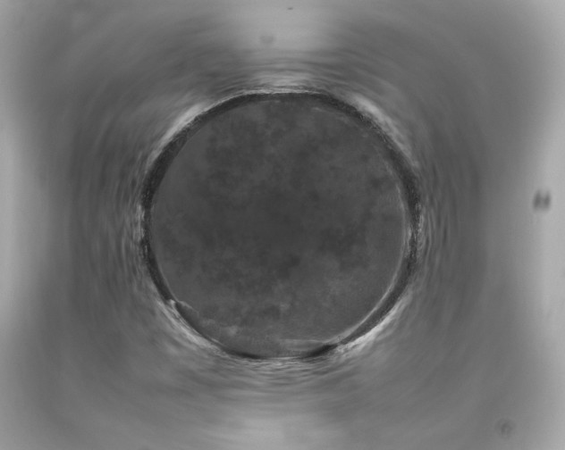 X0000092061449200709121345