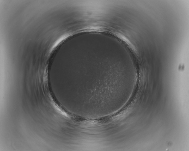 X0000092061450200709121345