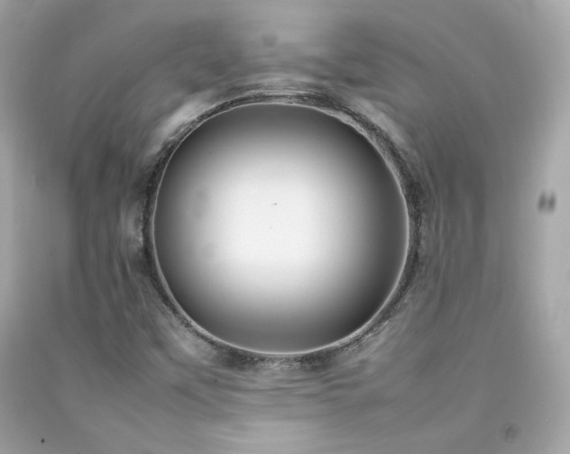X0000092061451200709121345