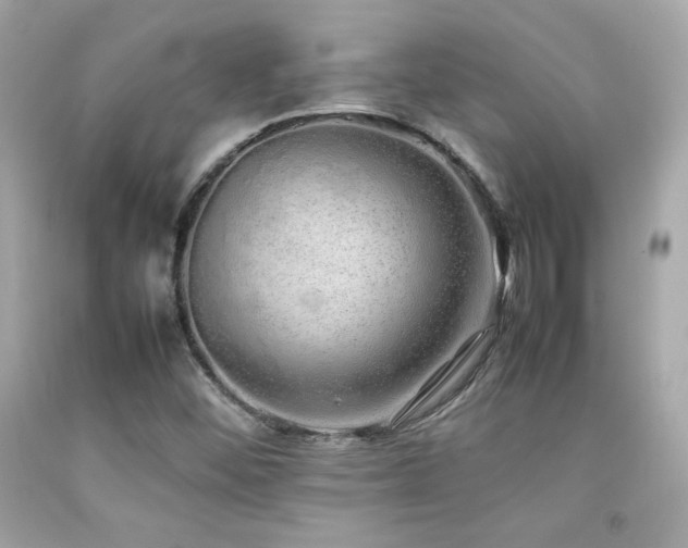 X0000092061452200709121345