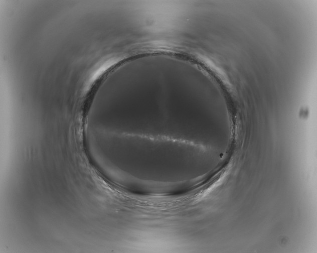 X0000092061453200709121345