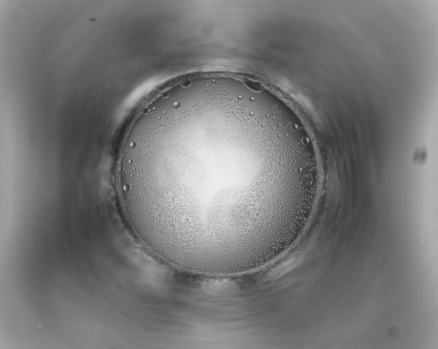 X0000092061454200709121345
