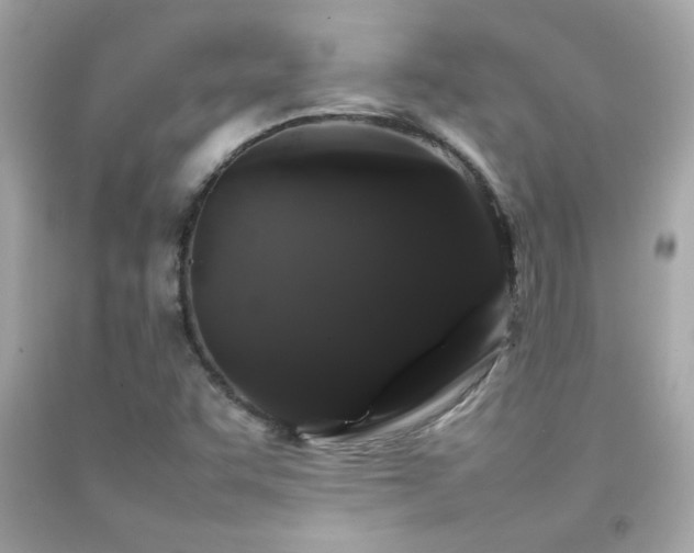 X0000092061455200709121345