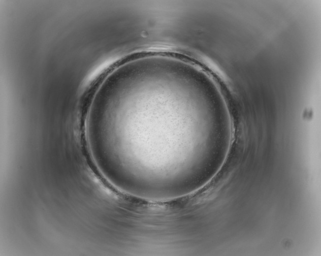 X0000092061456200709121345