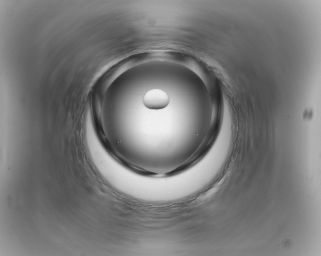 X0000092061457200709121345