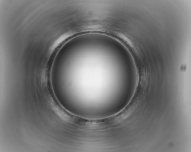 X0000092061458200709121345