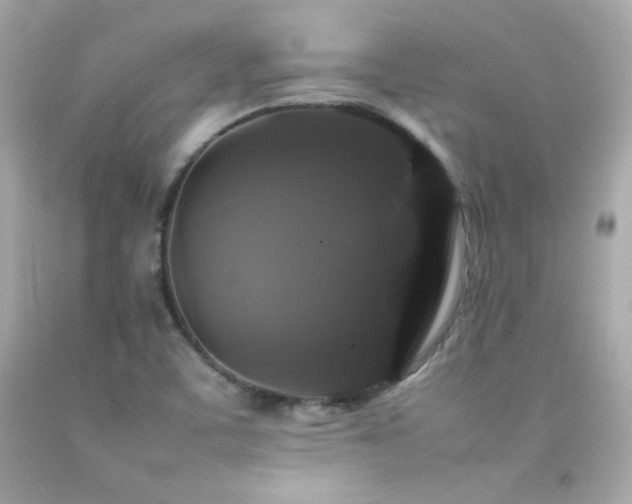 X0000092061459200709121345