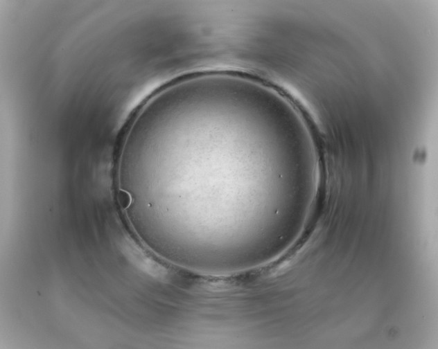 X0000092061460200709121345