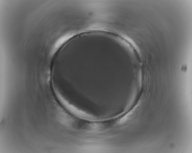 X0000092061461200709121345
