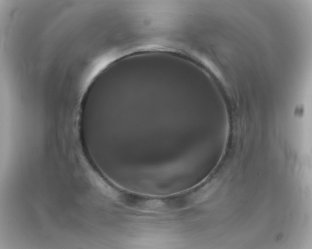 X0000092061463200709121345